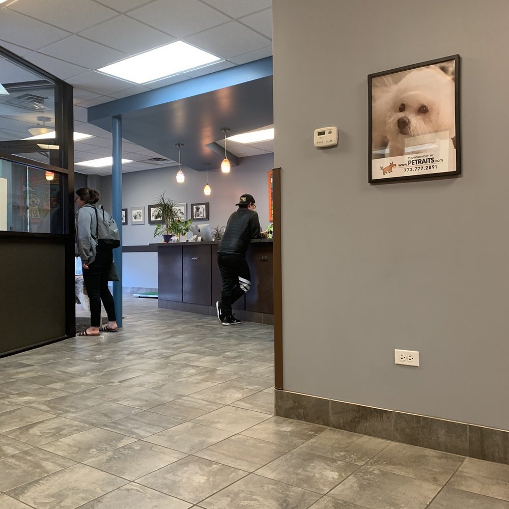 Pets First Veterinary Clinic - Waiting area / desk - Veterinarians Near Me - Chicago, Illinois Pets First Veterinary Clinic - Waiting area / desk - Veterinarians Near Me - Chicago, Illinois