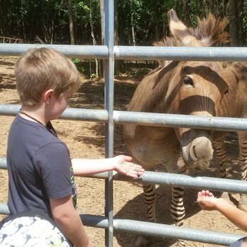 Chestatee Wild Life Preserve - Zoos Near Me - Dahlonega, Georgia