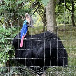 Edinburgh Zoo
