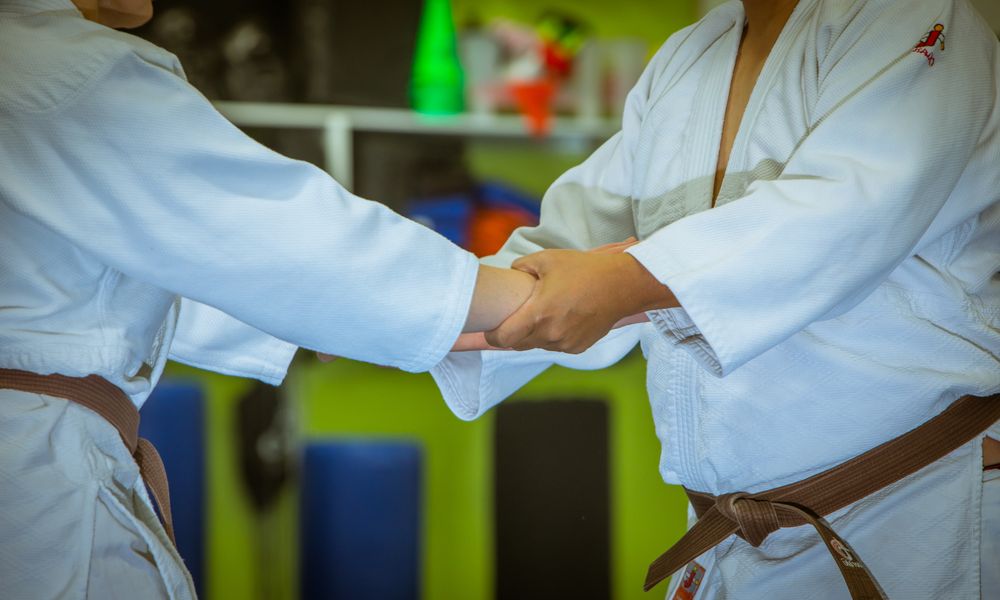 Aikido Shindokan Logo