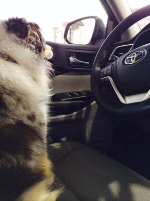 TOYOTA OF TRI-CITIES - Updated February 2026 - 15 Photos & 83 Reviews