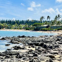 Napili Bay Beach - 8.20.2024