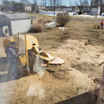 Prates Tree Service - Meet Danny, he is an essential part of the team it seemed like. Skilled and precise as the rest of the crew - Tree Services Near Me - Maple Shade, New Jersey