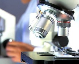 ICQC Consultation - mold inspector in Los Angeles, CA