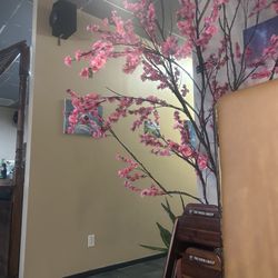 Ok Breakfast & Sushi Bar - Cute little tree I sat next to