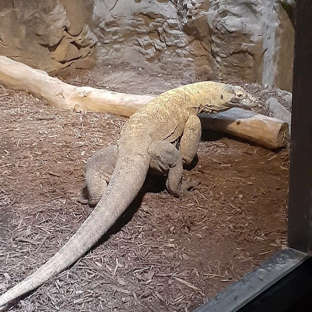 Chattanooga Zoo At Warner Park - Amusement Parks Near Me - Chattanooga, Tennessee