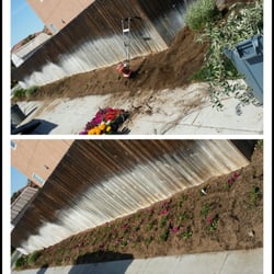 Master Image Gardening