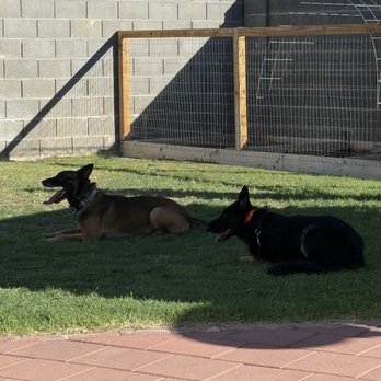 Proving Ground Kennels - Pet Training Near Me Proving Ground Kennels - Pet Training Near Me