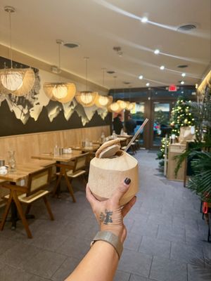 South of the Clouds 云之南 Jersey City by null