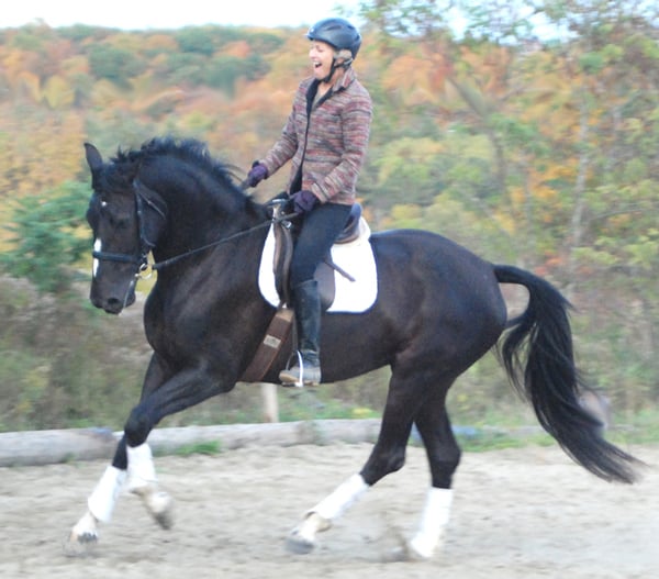 Neverland Farm Vermont - equestrian in Hinesburg, VT