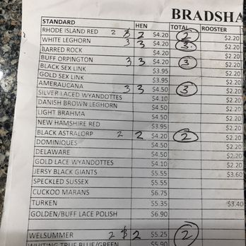 Bradshaw Feed & Pet Supply - Hen chick list. - Pet Stores Near Me - Sacramento, California Bradshaw Feed & Pet Supply - Hen chick list. - Pet Stores Near Me - Sacramento, California