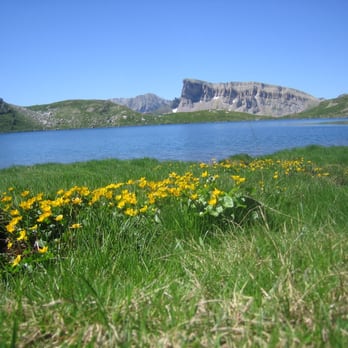 Ibón de Acherito - Incluso a tanta altura, las flores brotan durante el buen tiempo en este precioso paraje - Hiking Near Me - Hecho, HU