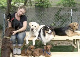 Unleashed In Evanston - pet boarding facility in Evanston, IL