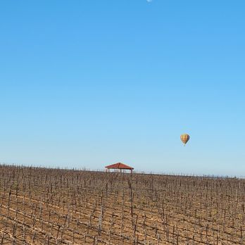 Grape Escape Balloon Adventures - Tours Near Me - Temecula, California Grape Escape Balloon Adventures - Tours Near Me - Temecula, California