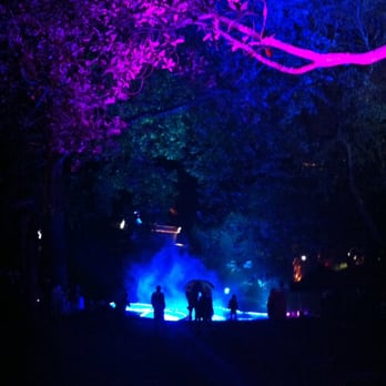 Art in the Dark - Local Flavor Near Me - Auckland, AUK
