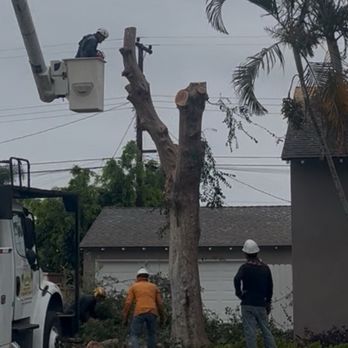 Goodman Tree Service - Tree Services Near Me - Whittier, California