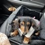 Photo of Fredon Animal Hospital