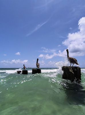 Bal Harbour Beach by null