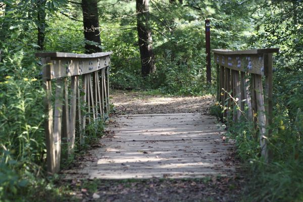 Gorman Nature Center by null
