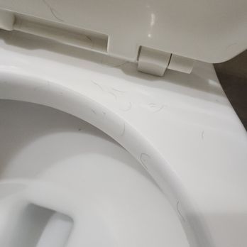 Comfort Inn Cranberry Twp - Pubic hair all over the toilet - Hotels Near Me - Mars, Pennsylvania Comfort Inn Cranberry Twp - Pubic hair all over the toilet - Hotels Near Me - Mars, Pennsylvania