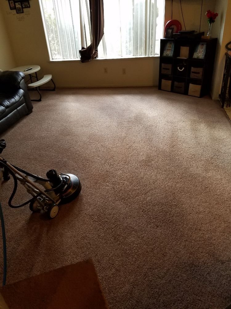 PEDRO AND BERTHA CARPET CLEANING Request a Quote 21 Photos Fresno, California Carpet