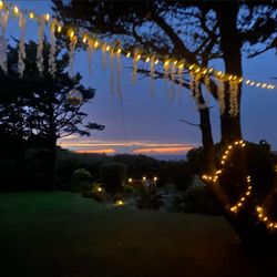 Yachats Inn - Sunset view from the 'Tea House' lawn area