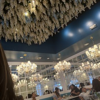 The Bloom Lounge - Breakfast & Brunch Near Me - Plano, Texas