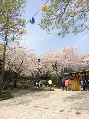 Hakodate Park by null