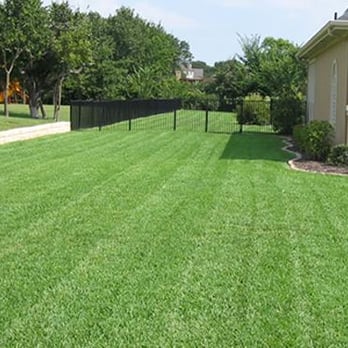 Missions Lawn and Landscape - a view of a backyard - Landscaping Near Me - St. Augustine, Florida