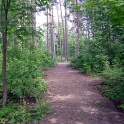 Topparoikan koirapuisto