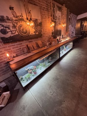 Carver 47 Food and Wellness Market by null Carver 47 Food and Wellness Market by null