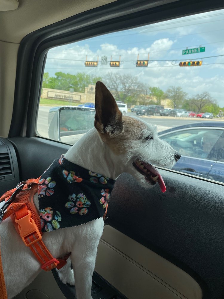 TOP KNOTCH GROOMS BY SYDNEY Updated June 2024 13 Photos 15501