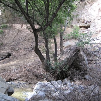 Dawn Mine Hike - Mine machinery visible in upper right corner of image. - Hiking Near Me - Altadena, California