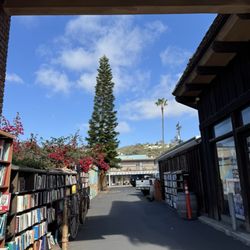 DG Wills Books