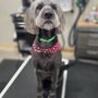Tailored Tails
