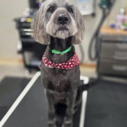 Tailored Tails