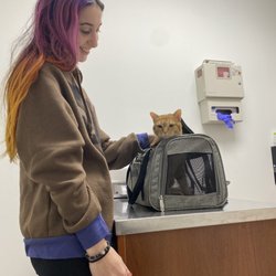 Maspeth Animal Hospital