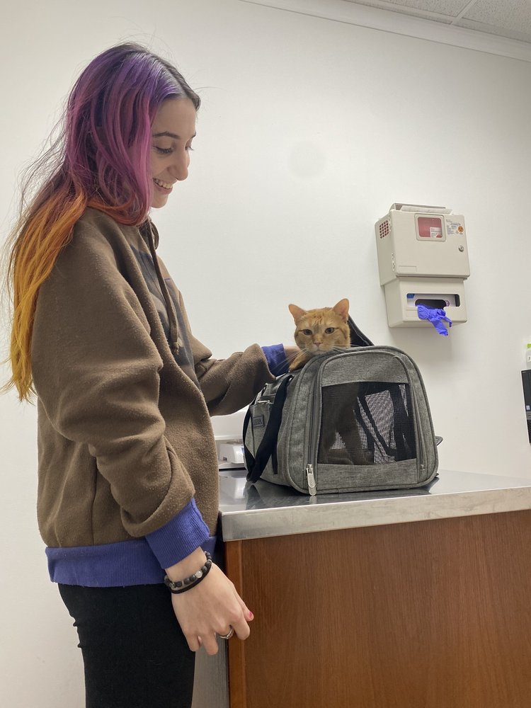 MASPETH ANIMAL HOSPITAL Updated August 2024 11 Reviews 7108