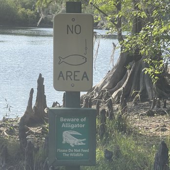 Lettuce Lake Park - Parks Near Me - Tampa, Florida
