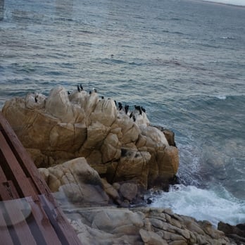 Chart House - Seafood Near Me - Monterey, California