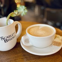 Scarlett Begonia - Latte