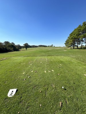 Lost Pines Golf Club by null