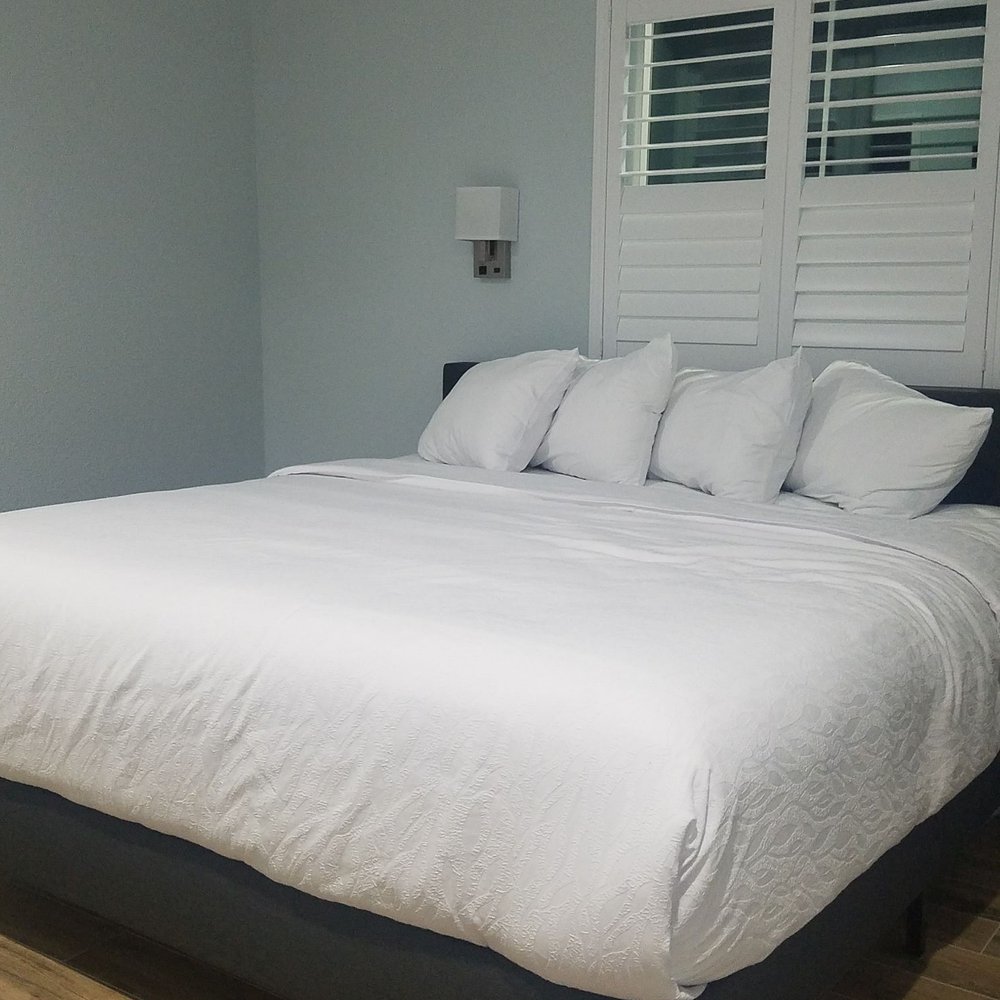 Hotel Sol - Hotels & Travel Near Me - Redington Shores, Florida