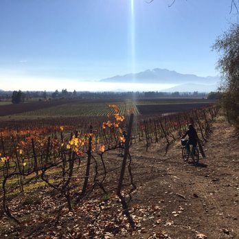 Viña Haras de Pirque - Beer, Wine & Spirits Near Me - Pirque, RM
