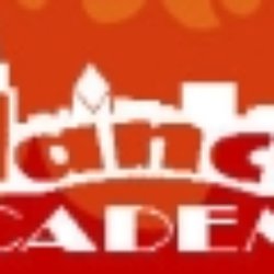 The Dance Academy