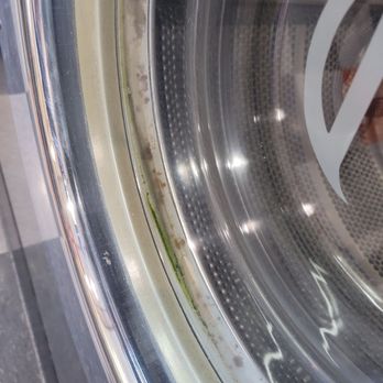 The Fresh Cycle - Mold - Laundromat Near Me - Burbank, California The Fresh Cycle - Mold - Laundromat Near Me - Burbank, California