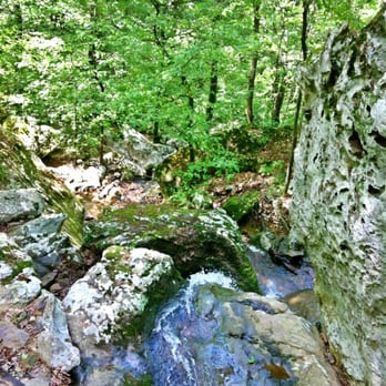 Cedar Falls Trail - Hiking Near Me - Morrilton, Arkansas Cedar Falls Trail - Hiking Near Me - Morrilton, Arkansas
