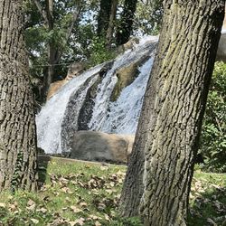 The Trails Miniature Golf