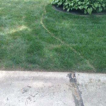 True Clean Carpet - Carpet Cleaning Near Me - Maryland Heights, Missouri True Clean Carpet - Carpet Cleaning Near Me - Maryland Heights, Missouri
