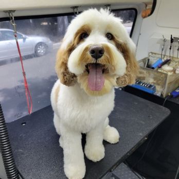 Ez Pet Mobile - Pet Groomers Near Me - Sunnyvale, California